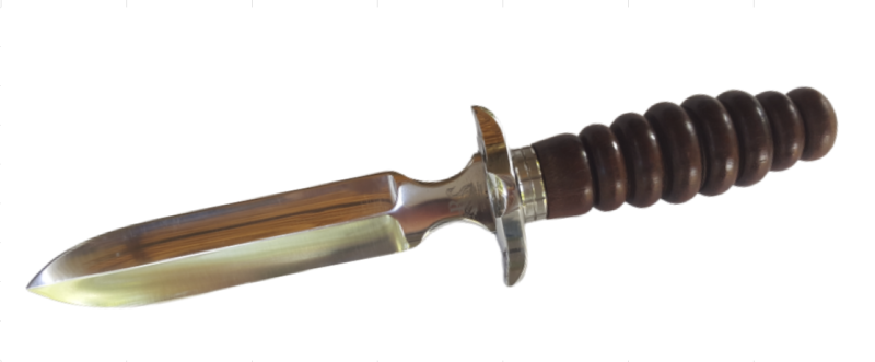 RS103
